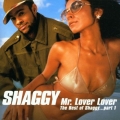 Shaggy - Mr. Lover Lover